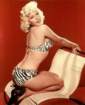 Jayne Mansfield - IQ 149